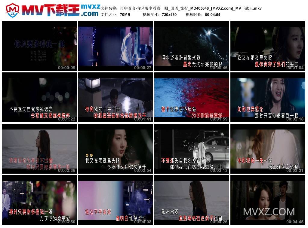 雨中百合-你只要多看我一眼_国语_流行_MD405648